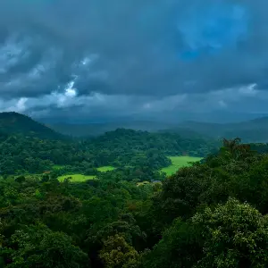 Coorg