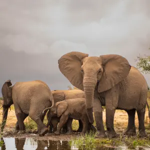 Kanha National Park